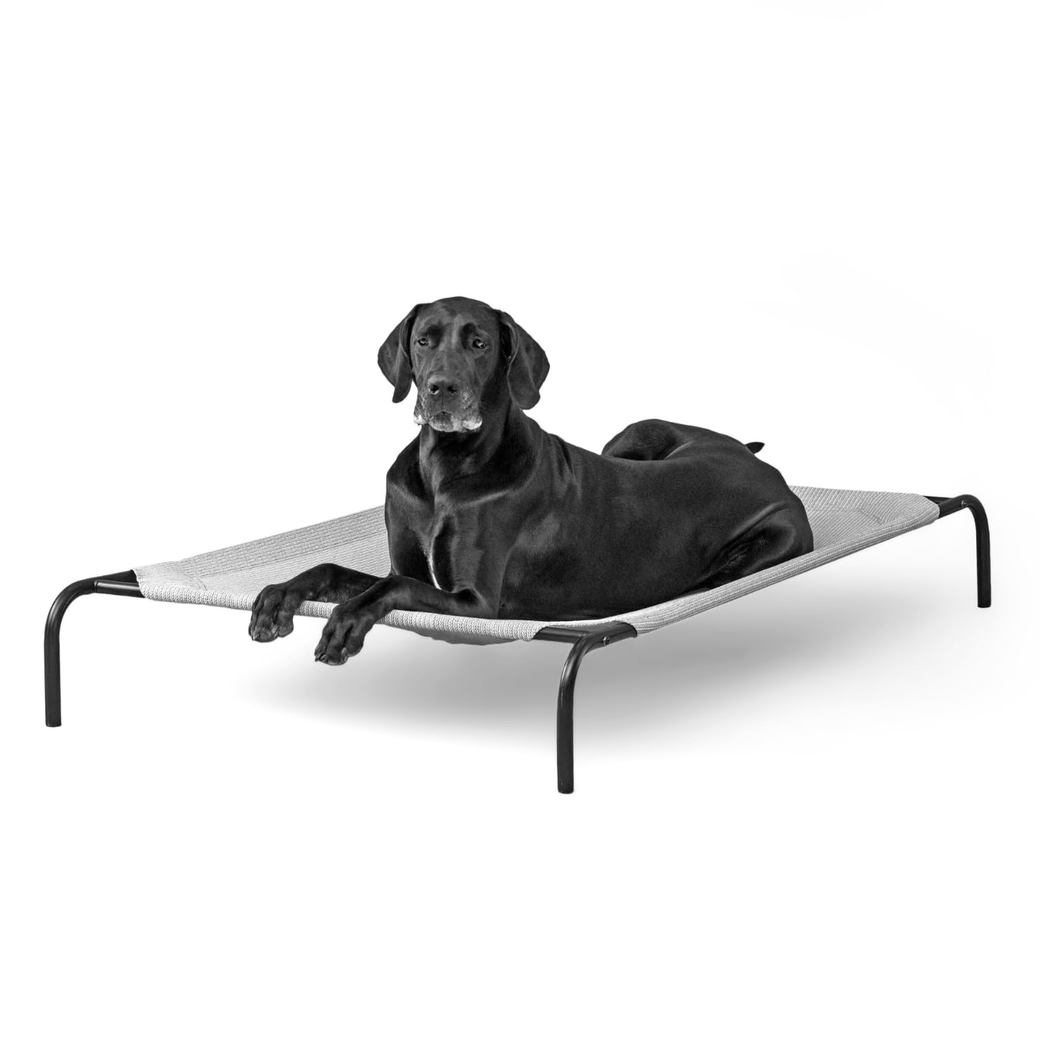 Cama Para Animais De Estimação Coolaroo Original Elevated Extra Large Grey