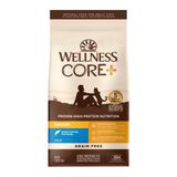 Cat Food Wellness Core+ Natural De 2,27 Kg De Salmão Sem Grãos