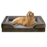 Cama Para Cães Comfort Expression Xl Espuma Ortopédica Impermeável