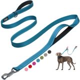 Coleira Para Cães Fida Heavy Duty De 6 Pés Com 2 Alças Acolchoadas Azuis