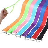 Trela De Cachorro Slip Lead Homimp De 1,8 M De Nylon Para Cães Pequenos, Médios E Grandes