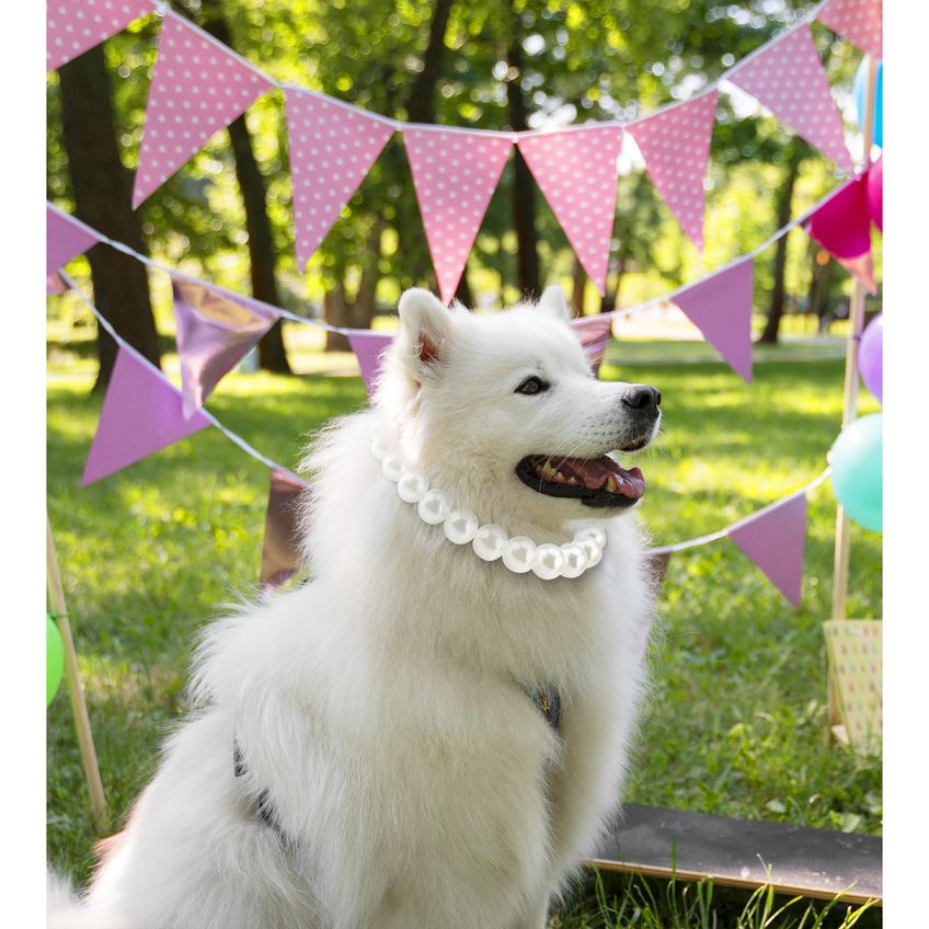 Colar De Cachorro Kudes Chunky Pearl Para Cães De Médio Porte - imagem 2