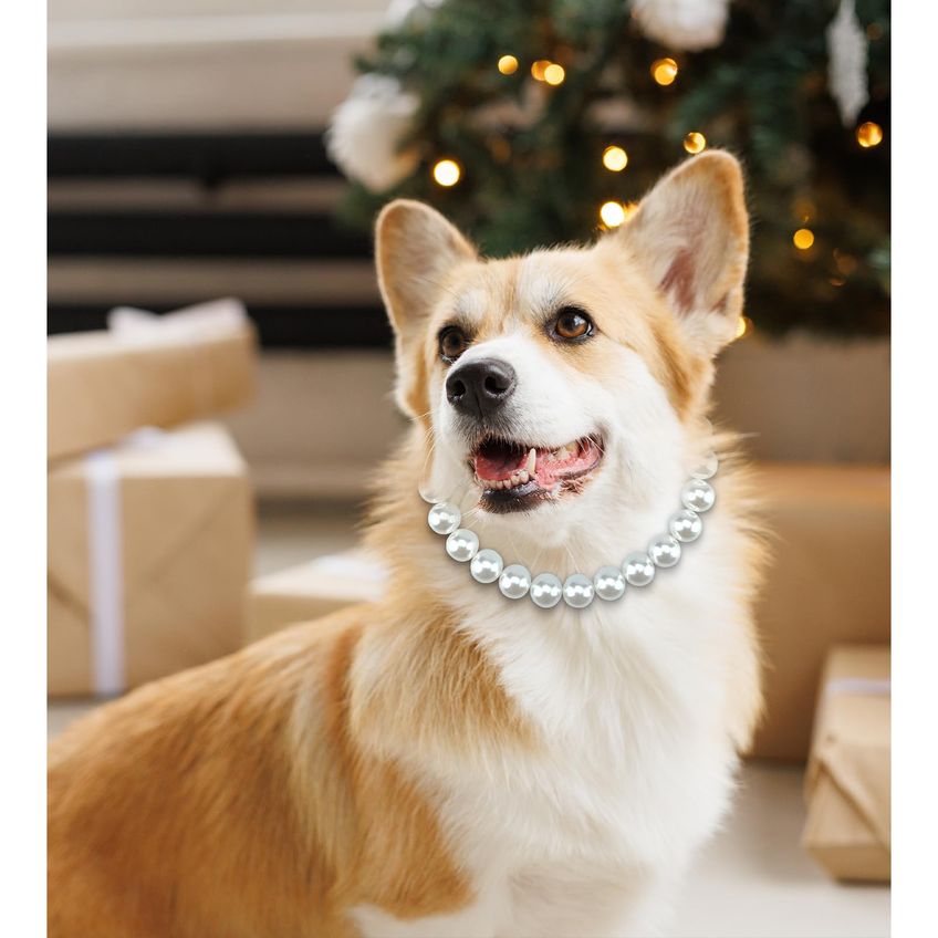 Colar De Cachorro Kudes Chunky Pearl Para Cães De Médio Porte - imagem 3