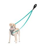 Dog Leash Petbonus: Controle De Dois Pontos Para Cães De Médio Porte