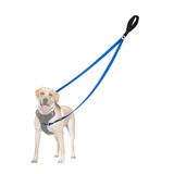 Dog Leash Petbonus: Controle De Dois Pontos Para Cães De Médio Porte