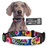 Coleira De Cachorro Lucky Love Dog Blackbird Para Cães Pequenos A Grandes