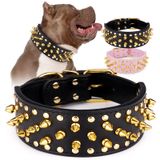 Coleira De Cachorro Epesiri Wide Gold Spiked Pu Para Cães