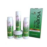 Kit Capilar Nutry Babosa Begonia 4 Itens