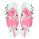 Chinelo Ipanema Infantil Fantasia Rosa E Verde Tamanho 25/26 1 Par
