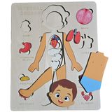 Quebra-cabeça Em Madeira Corpo Humano Menino Montessori