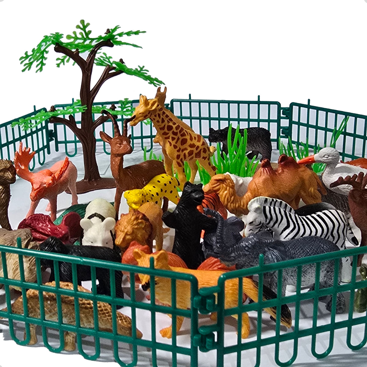 Naturetales セマルハコガメ　幼体フィギュア Miniaturas Animais Selvagens Selva Brinquedo Montessori - Carrefour
