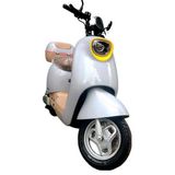 Moto Autopropelida Speed3 1000w Primar