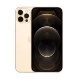 Usado: Iphone 12 Pro Max 256gb Dourado Outlet - Trocafone