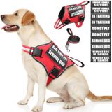 Conjunto De Colete E Coleira Para Cães De Serviço Moogrou Vermelho Tamanho L