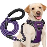 Arnês Para Cães Tobedri No Pull Ajustável, Roxo Refletivo, Xl