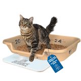 Caixa De Areia Para Gatos Kittygohere Senior Beach Sand Low Entrance