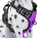 Colete Confortável Refletivo Para Cães Polypet No Pull, Roxo
