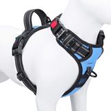 Colete Ajustável Reflexivo Phoepet Para Cães Baby Blue S