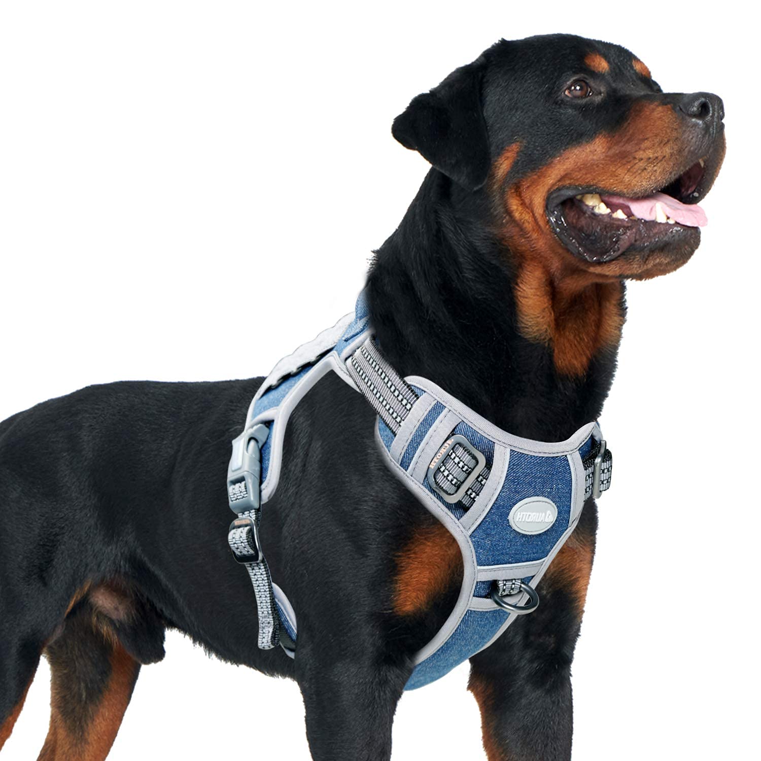 Arnês Para Cães Auroth Tactical No Pull Refletive Para Cães Xl
