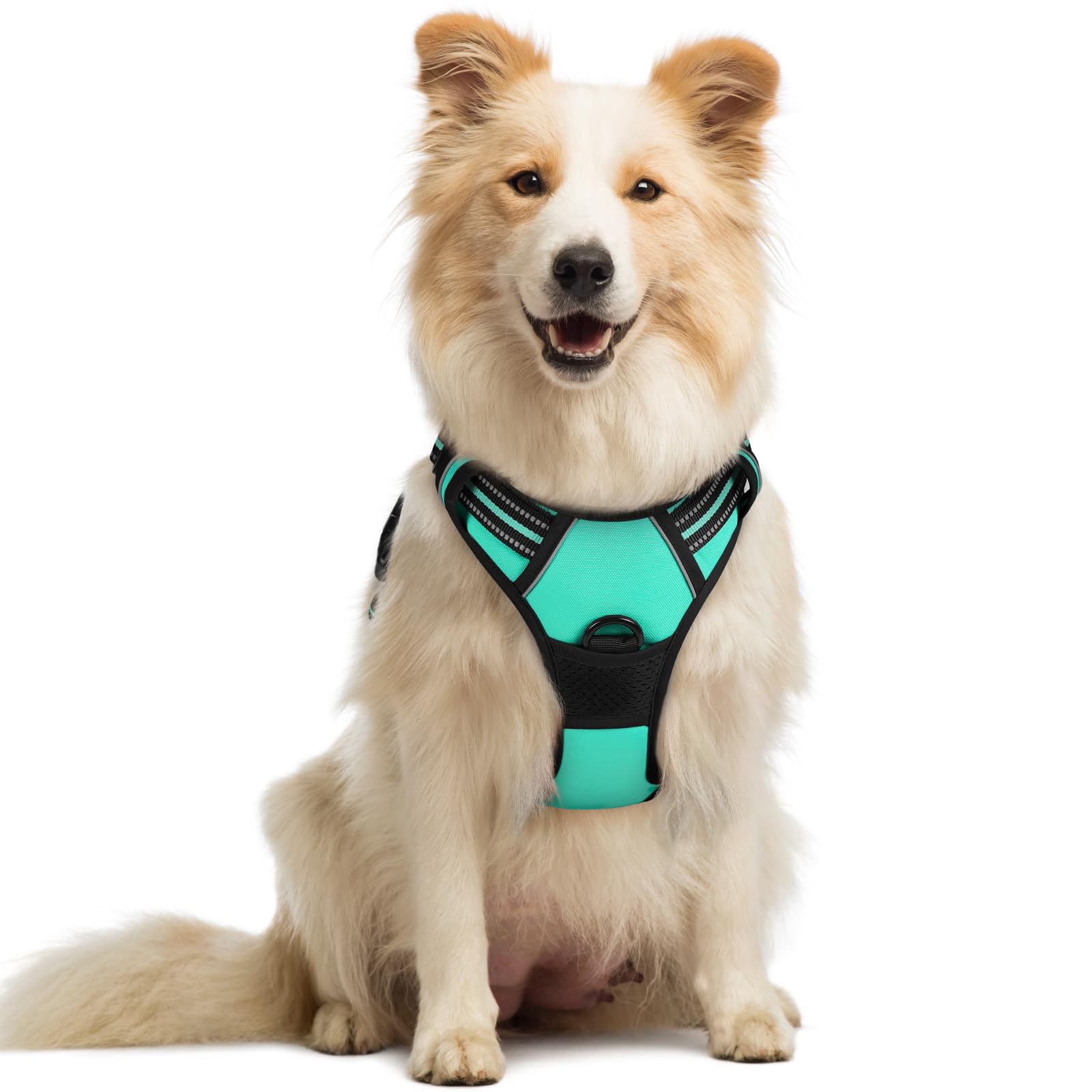 Arnês Para Cães Rabbitgoo No Pull Adjustable Turquoise M