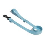 Guia Petz Pastel Aqua Para Cães - Pp/p