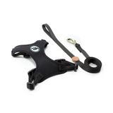 Peitoral Com Guia Neo Black Para Gatos