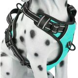 Colete Confortável Refletivo Para Cães Polypet, Azul Menta