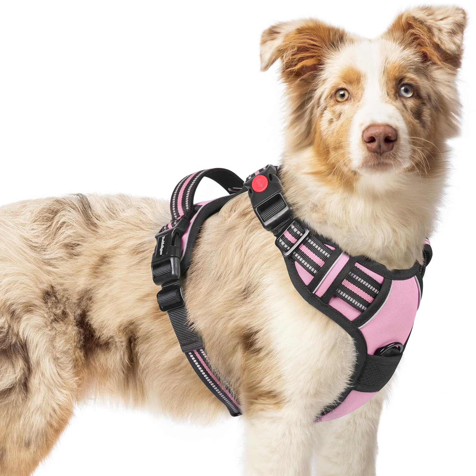 Colete Acolchoado Dog Harness Rabbitgoo Upgrade No Pull Pull Pink M