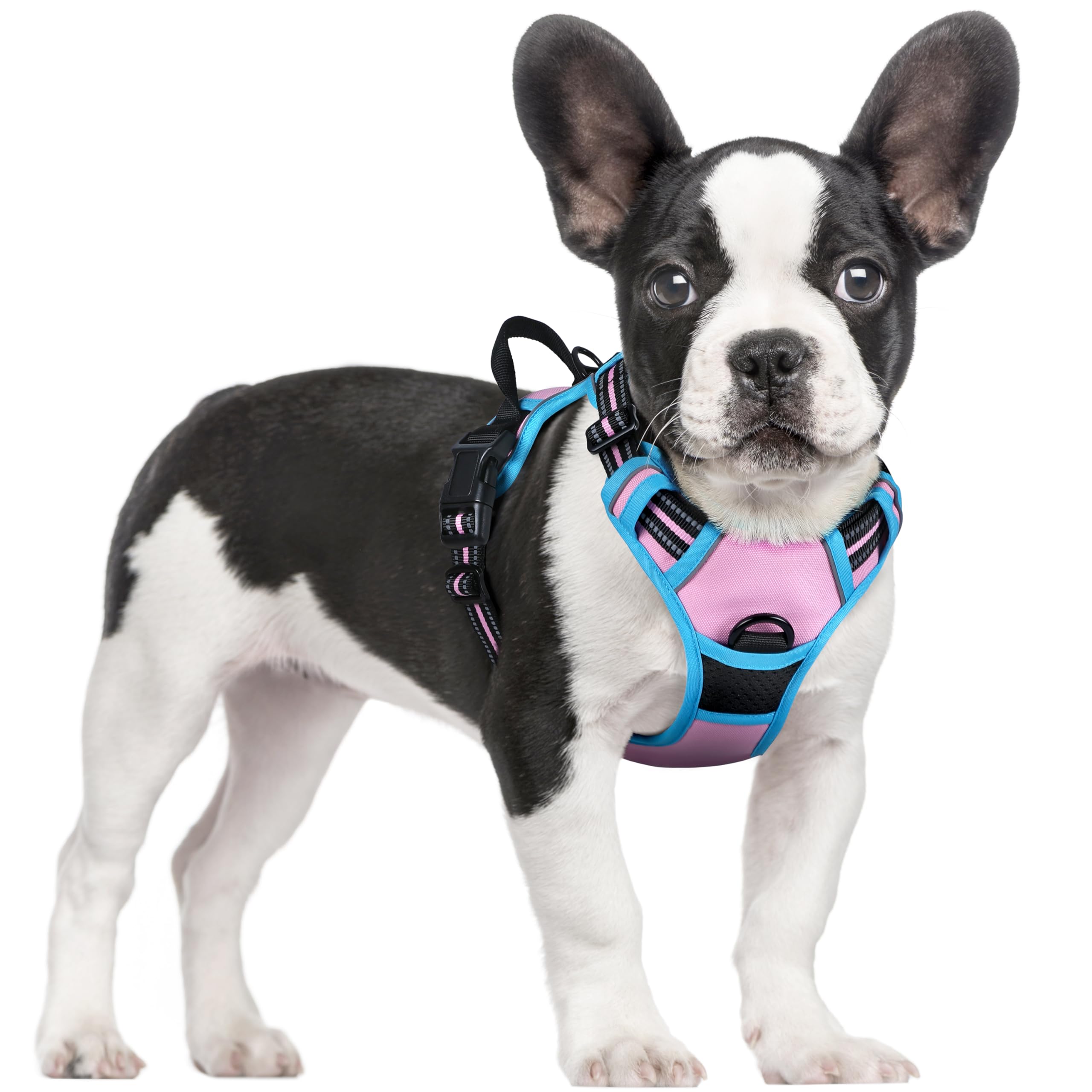 Arnês Para Cães Rabbitgoo No Pull Adjustable S Rosa E Azul
