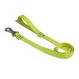 Guia Petz Flúor Yellow Para Cães - Pp/p