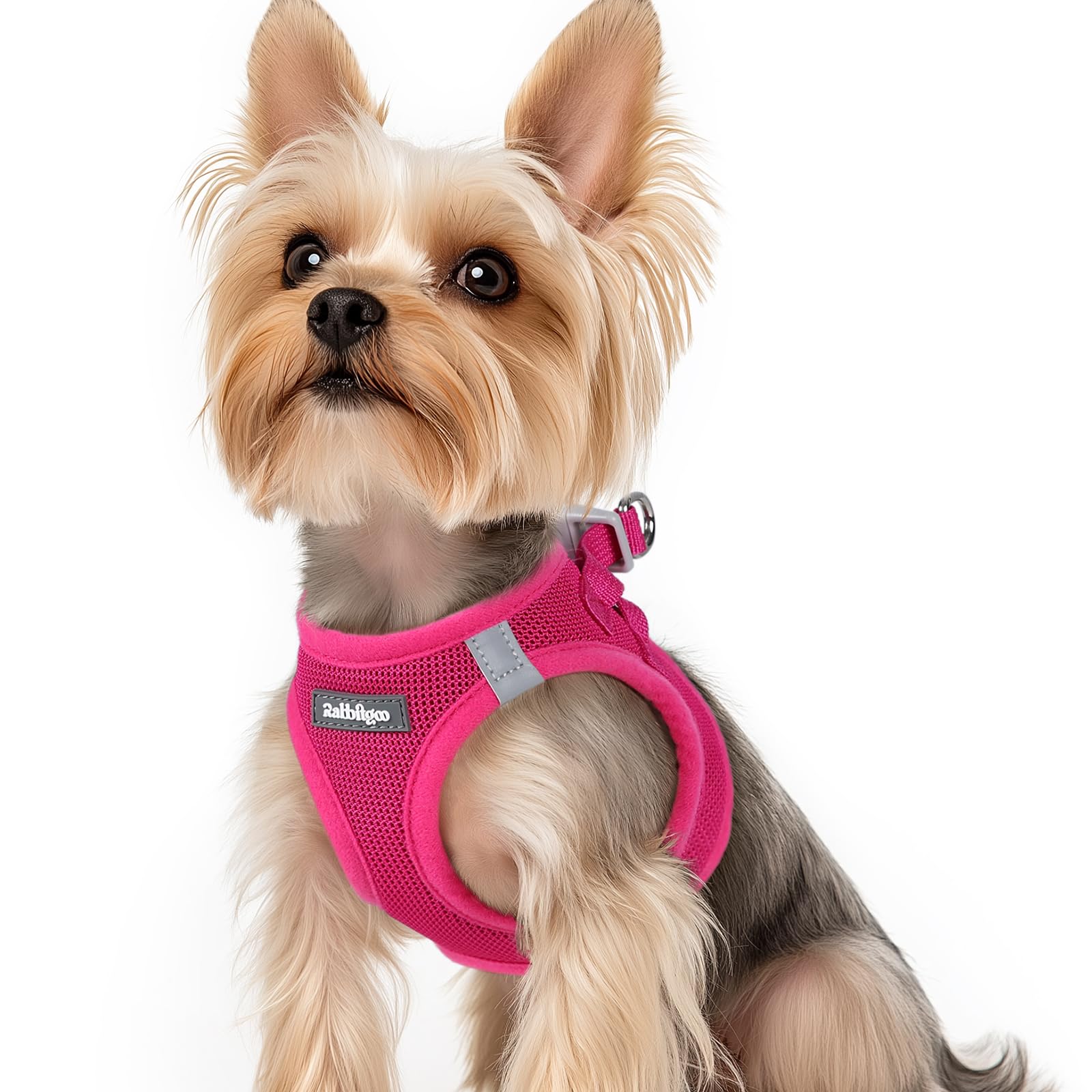 Colete Dog Harness Rabbitgoo Step-in Soft Mesh Puppy Xs