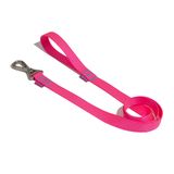 Guia Petz Flúor Pink Para Cães - M/g