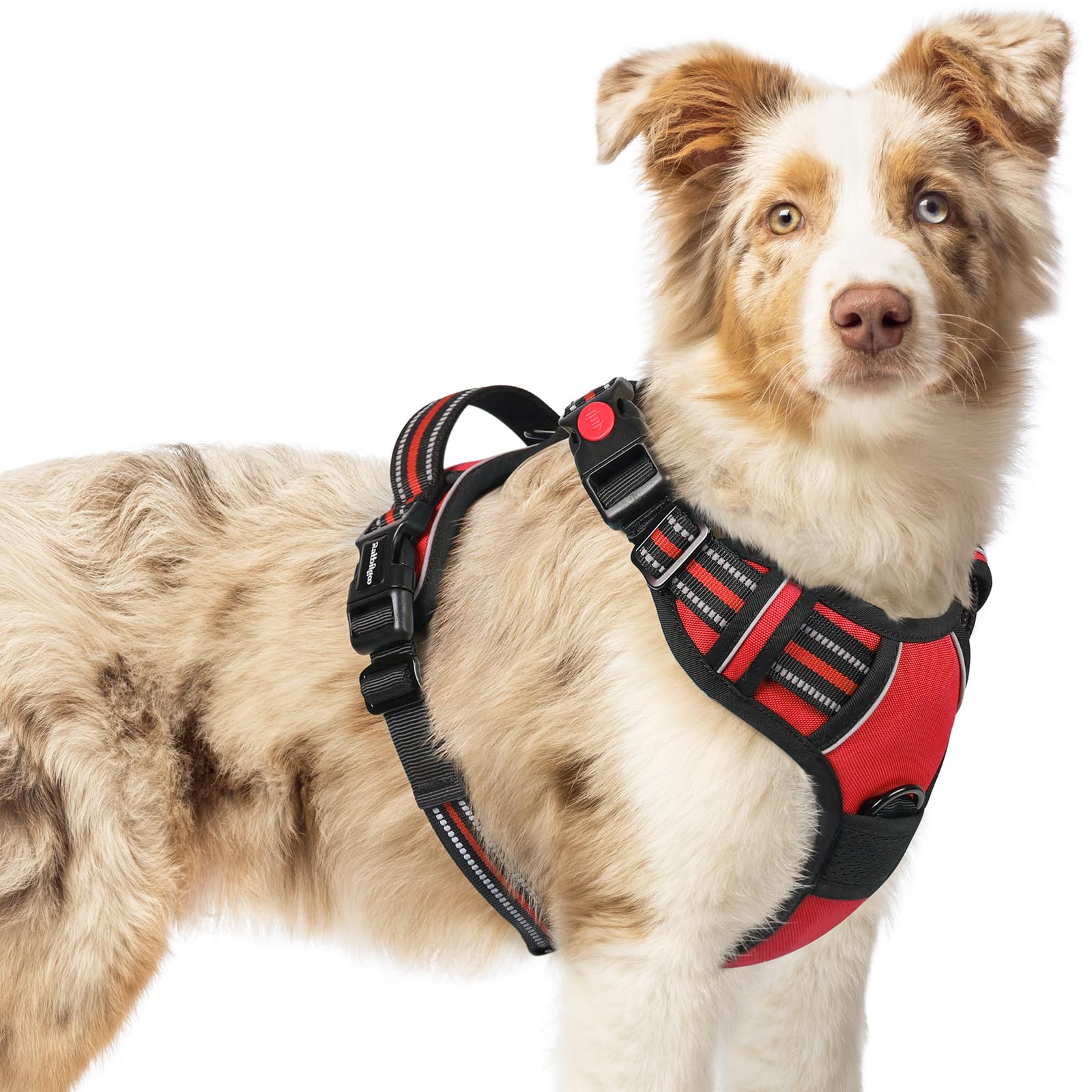 Dog Harness Rabbitgoo Atualizado No Pull Red Para Cães Médios
