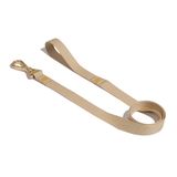 Guia Petz Naked Golden Para Cães - Pp/p