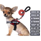 Conjunto De Colete E Coleira Service Dog Animire In Training