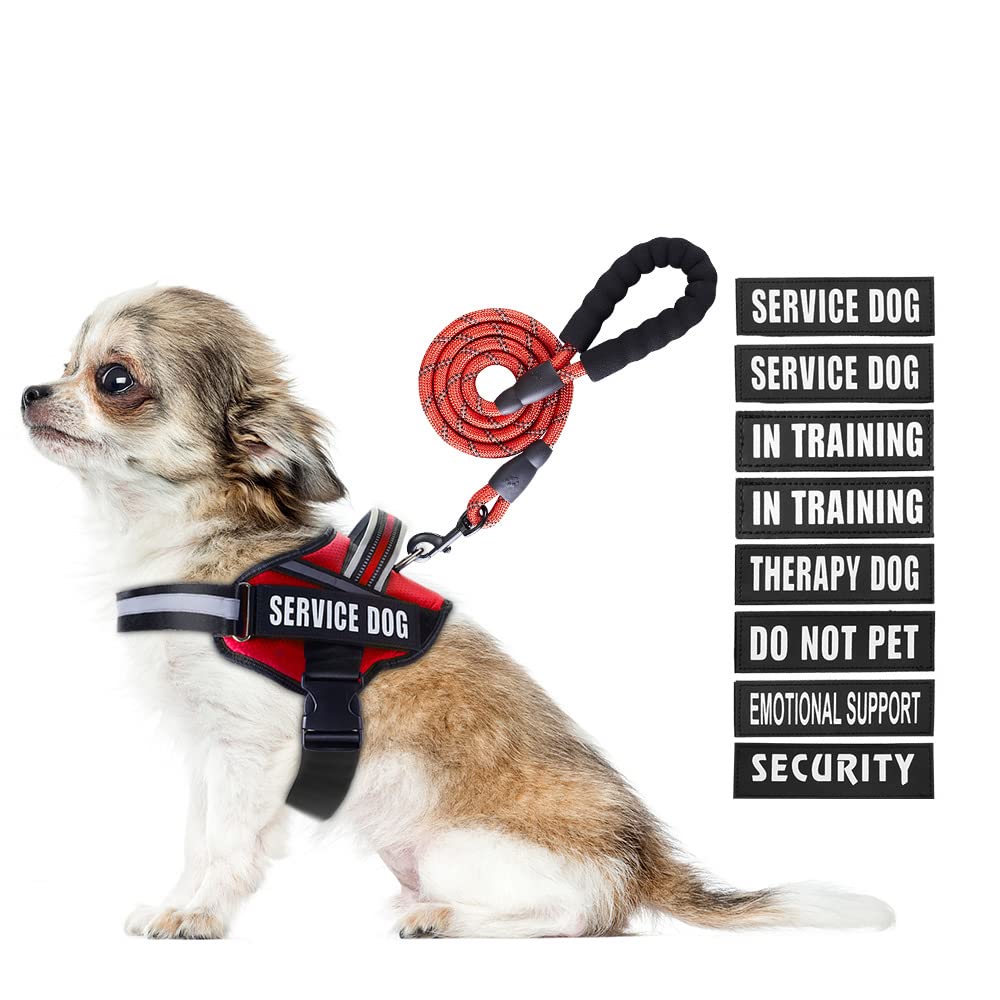 Conjunto De Colete E Coleira Service Dog Animire In Training