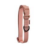 Coleira Petz Waterproof Camarão Para Cães - Pp