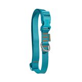 Coleira Petz Flúor Blue Para Cães - Pp