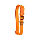 Coleira Petz Flúor Orange Para Cães - G