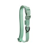 Coleira Petz Pastel Mint Para Cães - Pp