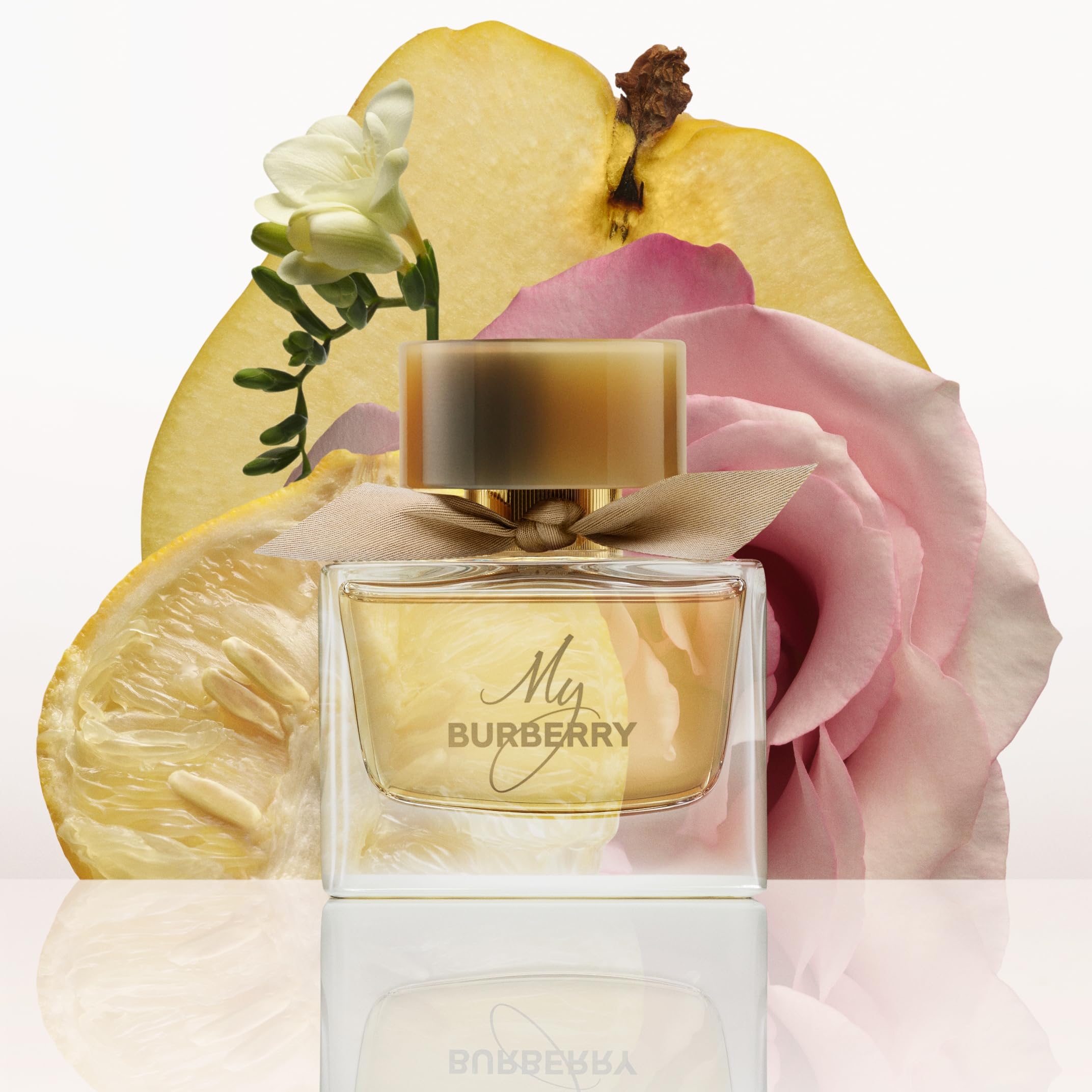 My Burberry Eau De Parfum Spray 3 Oz - Carrefour