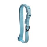 Coleira Petz Pastel Aqua Para Cães - Pp