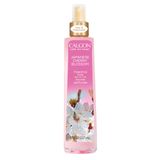 Body Mist Calgon Japanese Cherry Blossom 240 Ml