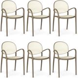 Kit 6 Cadeiras De Jantar Roma Com Braço Para Sala E Cozinha - Branco-cinza Escuro