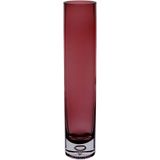 Vaso Decorativo Enfeite Casa Tubo Home&amp;co Vidro 30x6x6cm Roxo