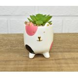 VASO BICHINHO TRIPÉ COM SUCULENTA - ROSA