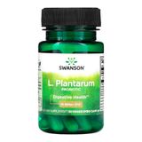 L. Plantarum Probiótico 10bi Swanson 30 Drcaps Importado