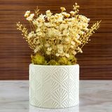 Vaso Decorativo - Flores Sempre Vivas - 8