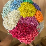 1kg - Flores Sempre Vivas Natural E Desidratado - Rosa