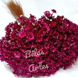 500 Flores Sempre Vivas - Coloridas - Marsala